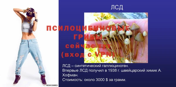 дмт Богородицк
