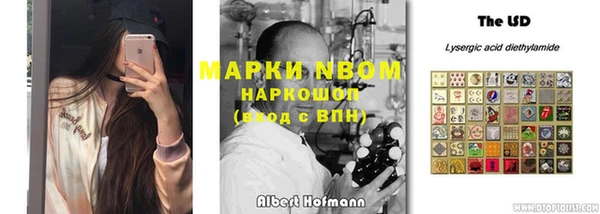 соль ск Богданович