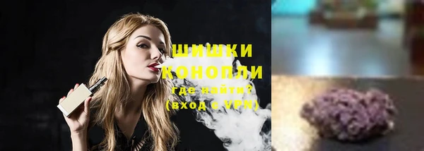 дмт Богородицк