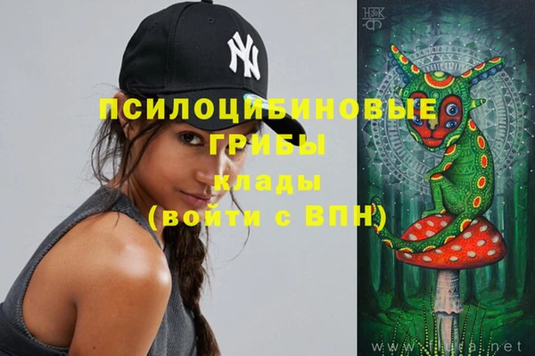соль ск Богданович