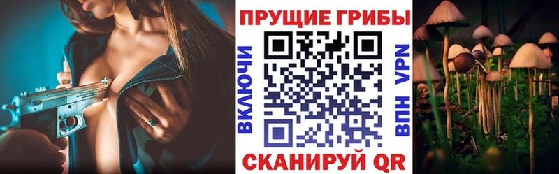 Псилоцибиновые грибы ЛСД  площадка телеграм  Дигора 